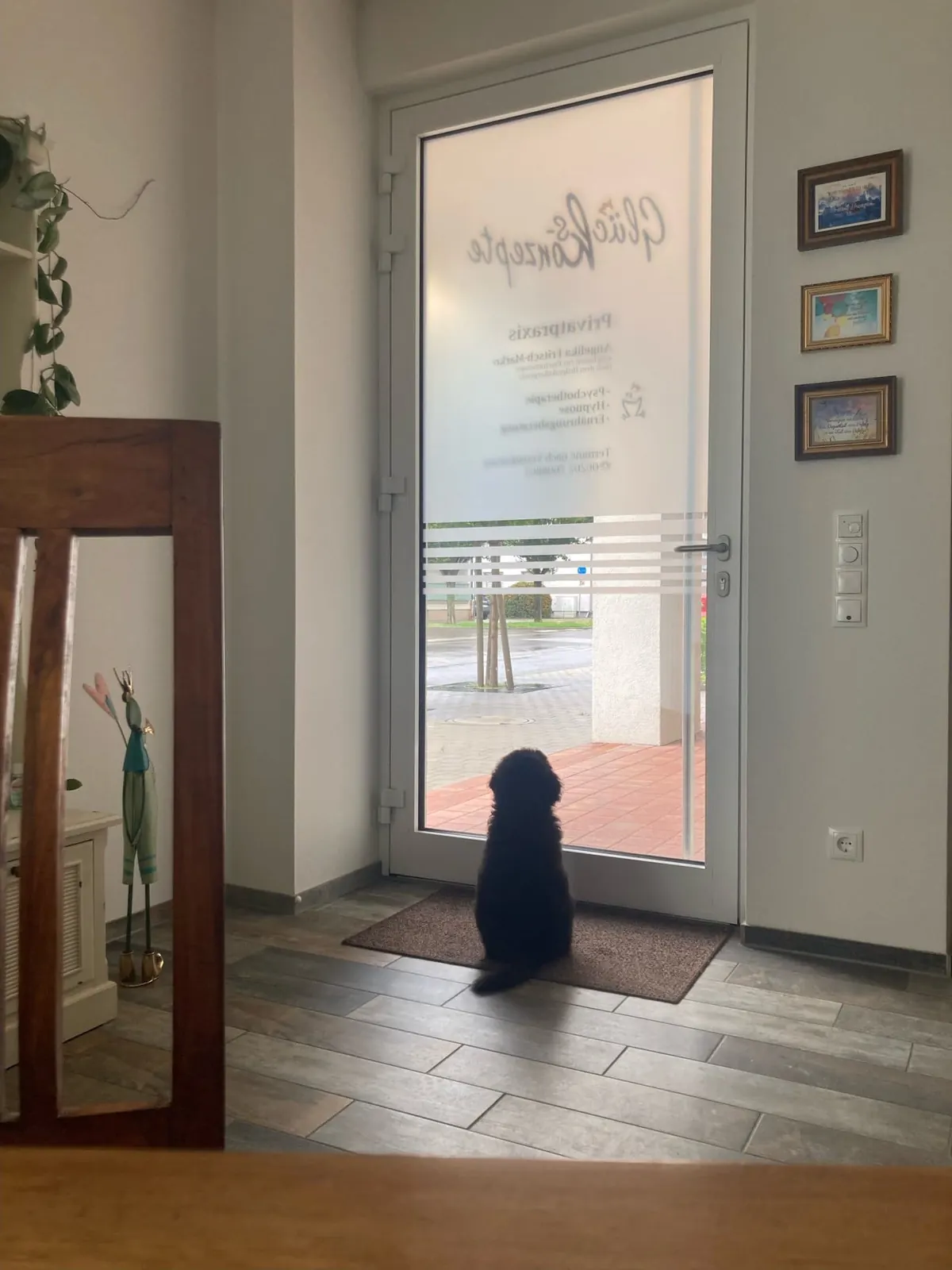 Therapiehund Bisou wartet am Praxiseingang