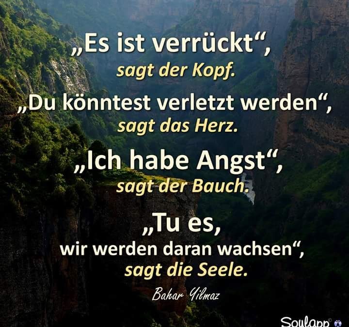 Zitat der Woche, vom 21. Januar 2019