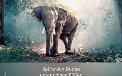 Zitat der Woche, vom 07. Januar 2019