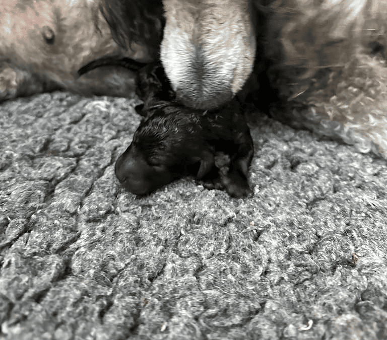 Glück der Woche vom 22. Mai 2023