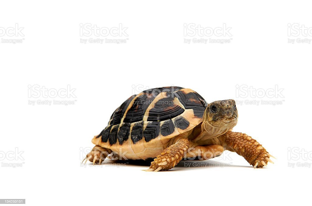 Glück der Woche vom 3. Juli 2023