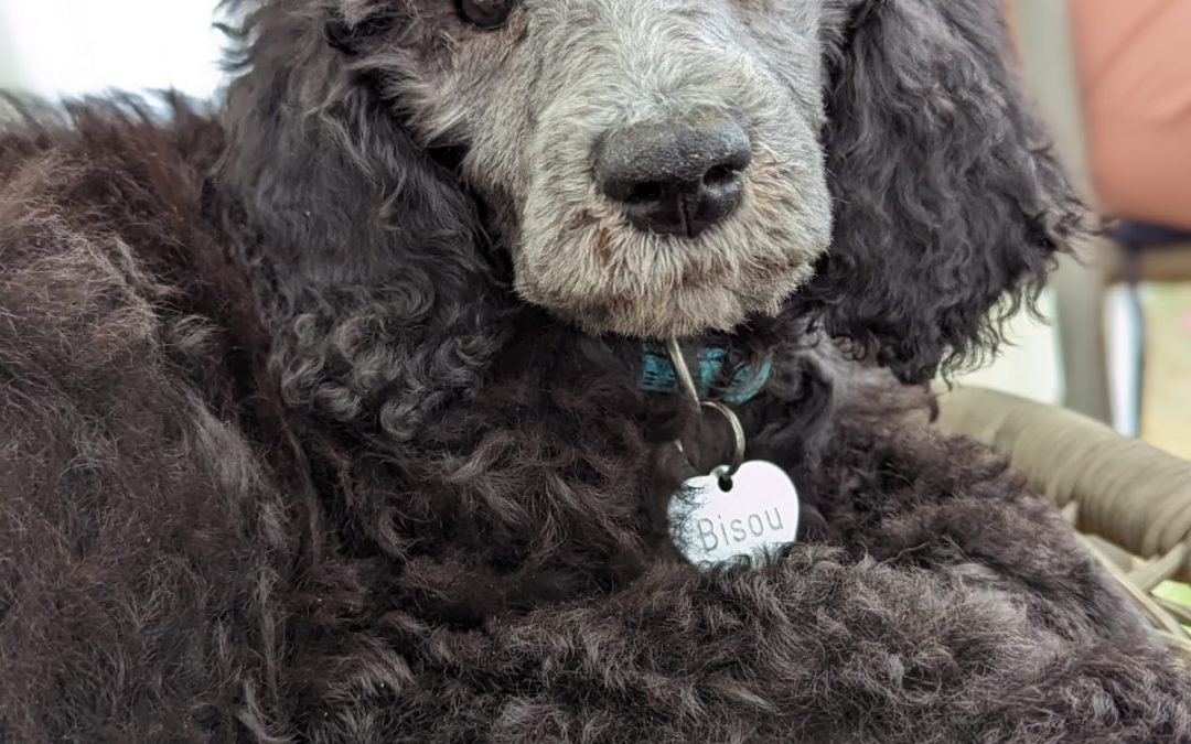 Glück der Woche, vom  24. Juli 2023