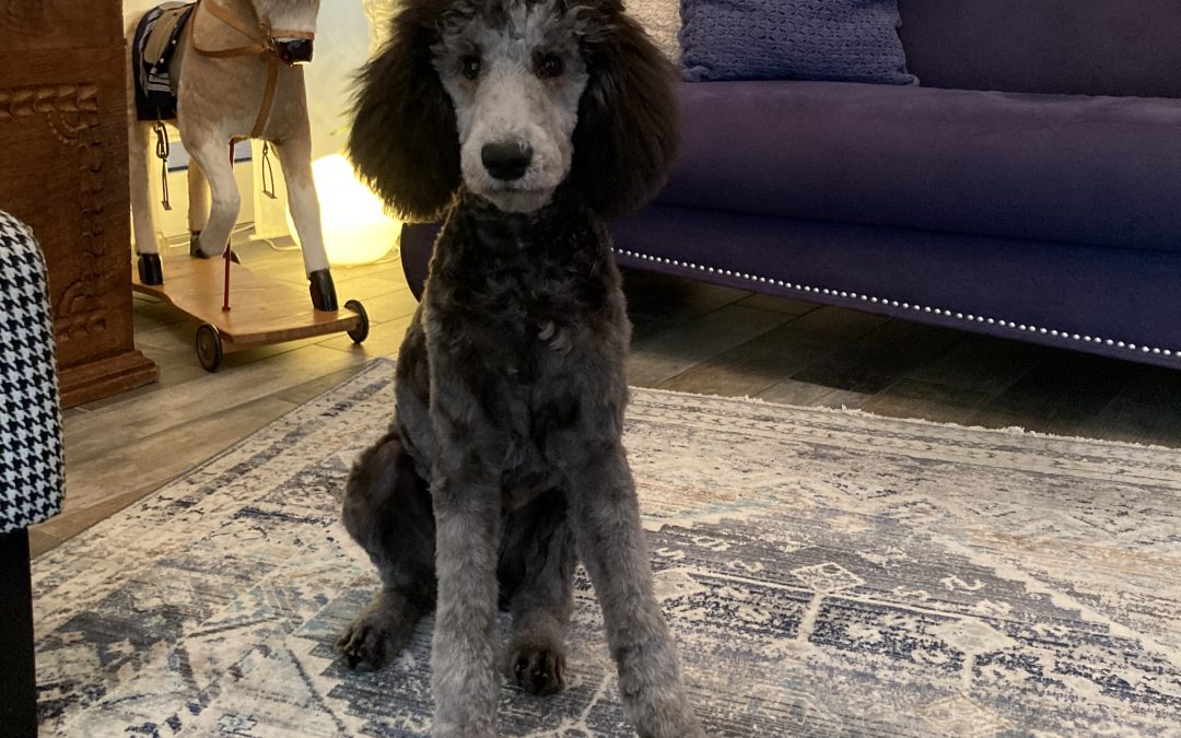 Glück der Woche vom 23. Oktober 2023