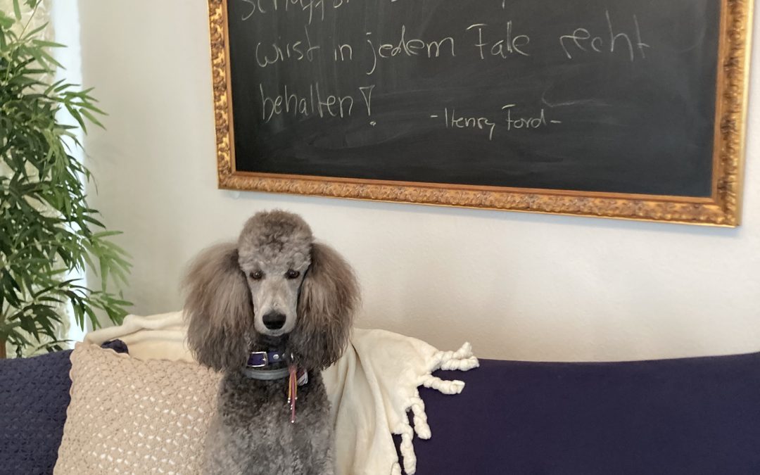 Zitat zum Wochenende :-)