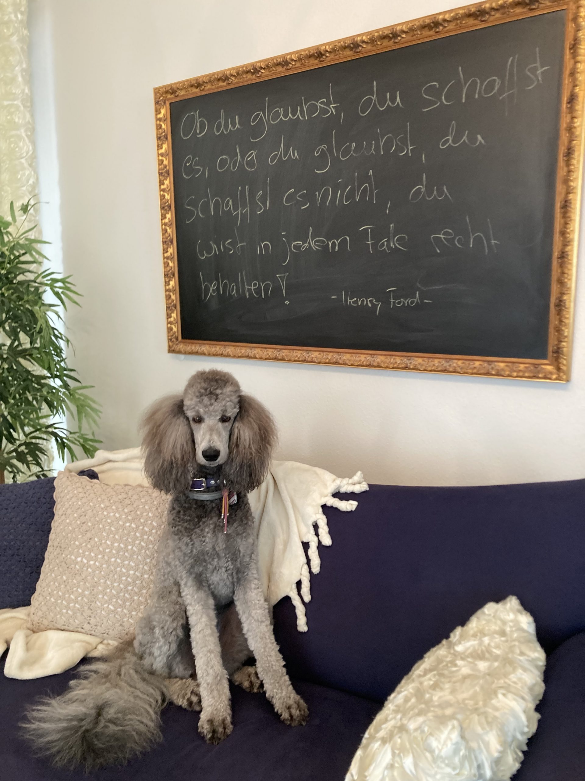 Zitat zum Wochenende :-)